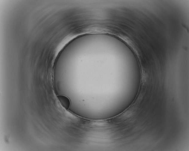 X0000103421486200809191625