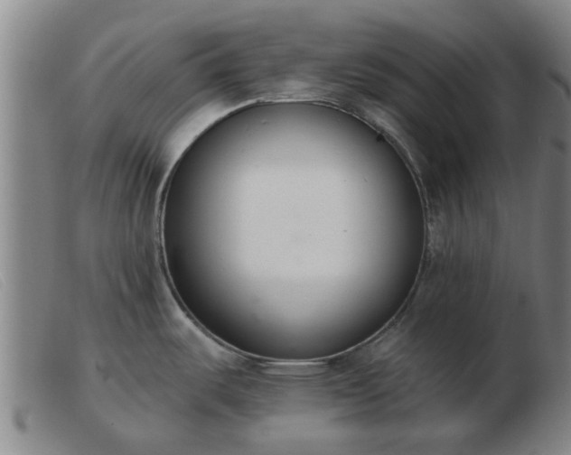 X0000103421487200809191625