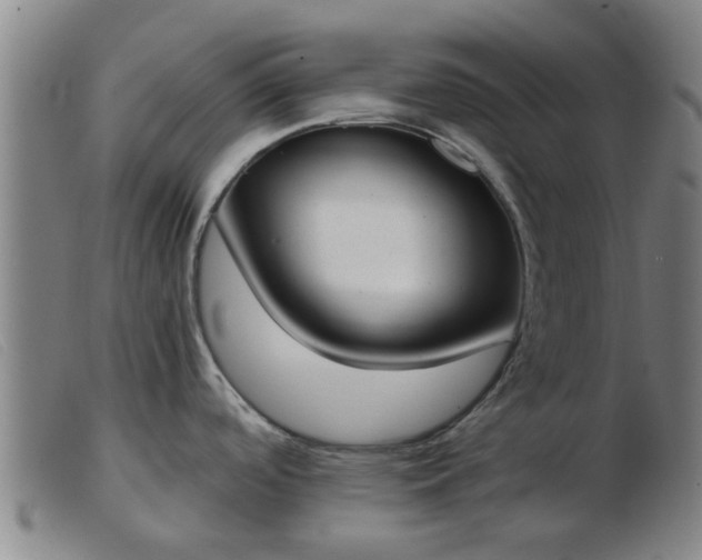 X0000103421488200809191625
