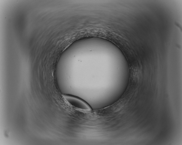 X0000103421489200809191625