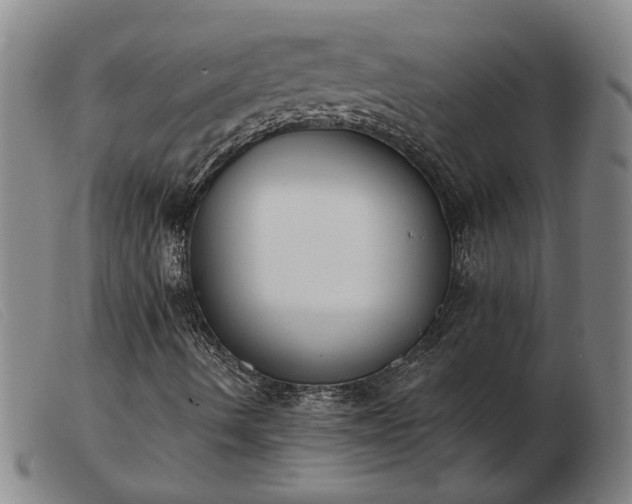 X0000103421490200809191625