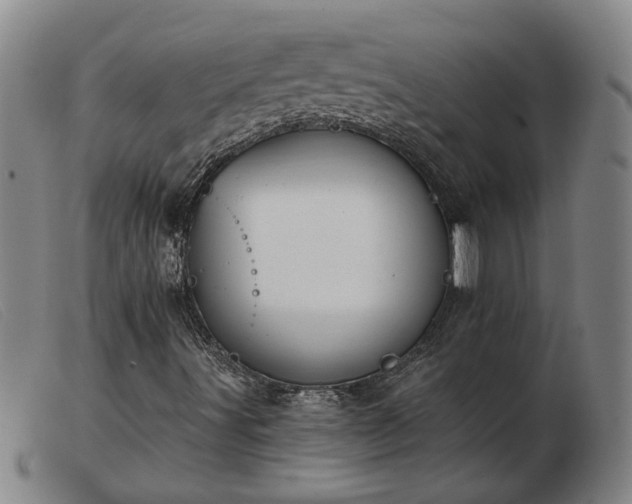 X0000103421491200809191625