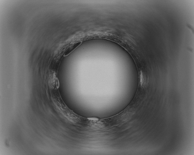 X0000103421492200809191625