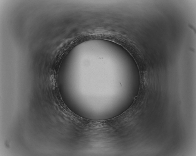 X0000103421493200809191625