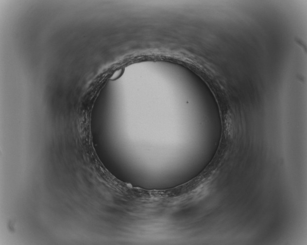 X0000103421494200809191625