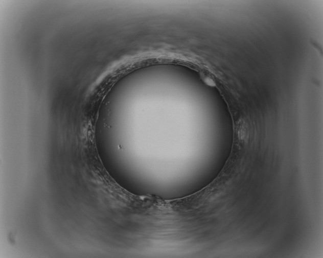X0000103421495200809191625