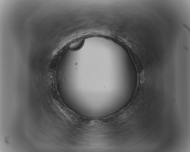 X0000103421496200809191625