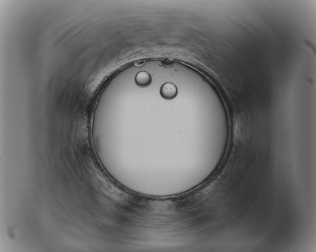 X0000103421498200809191625