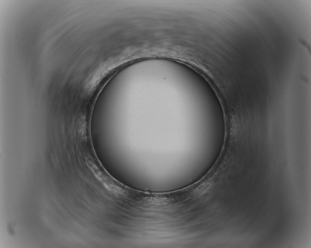 X0000103421499200809191625
