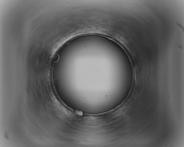X0000103421500200809191625