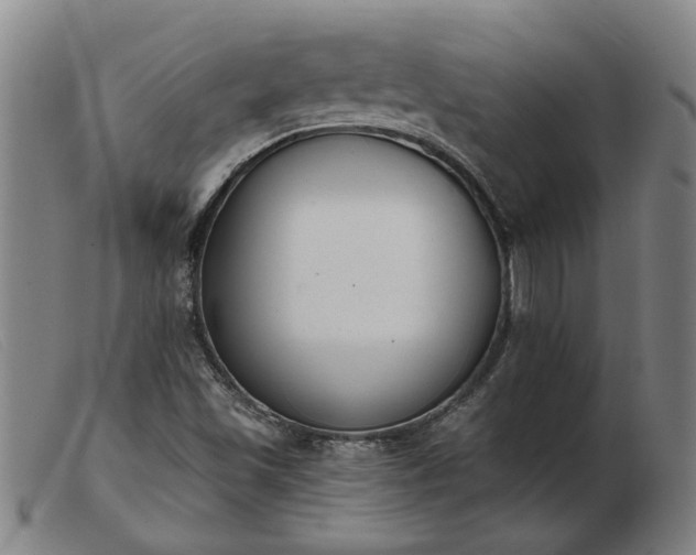 X0000103421501200809191625