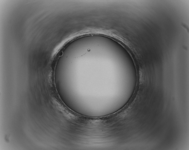 X0000103421502200809191625