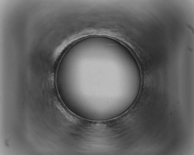 X0000103421503200809191625