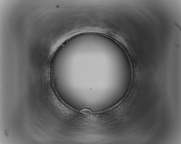 X0000103421504200809191625