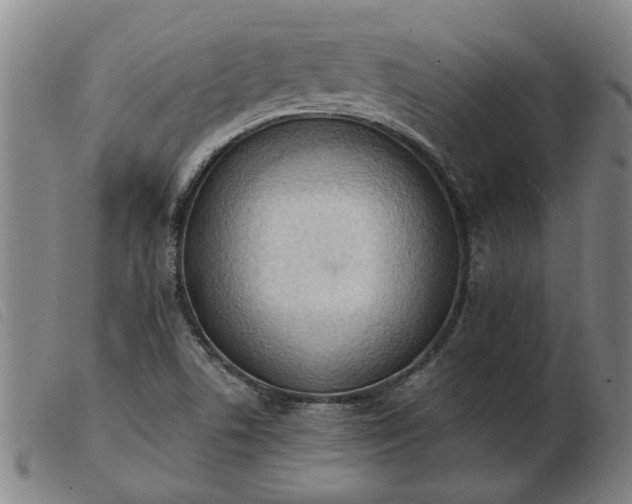 X0000103421506200809191625