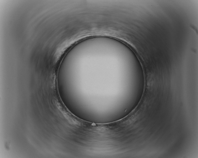 X0000103421507200809191625
