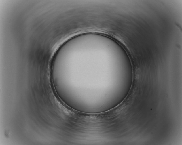 X0000103421508200809191625