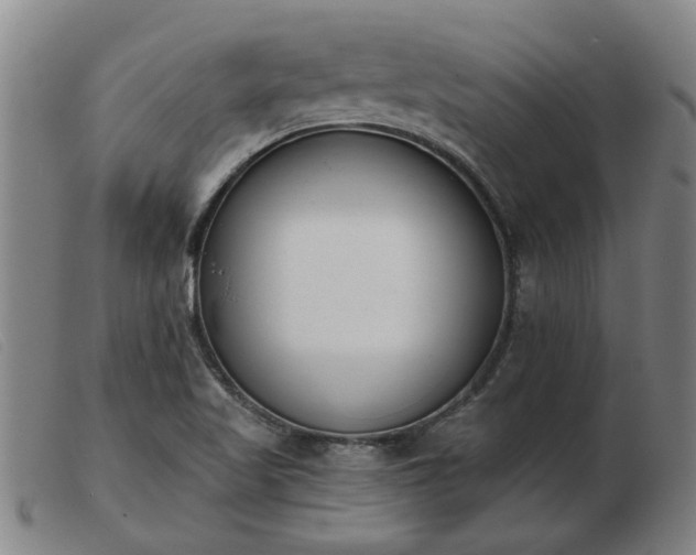 X0000103421509200809191625