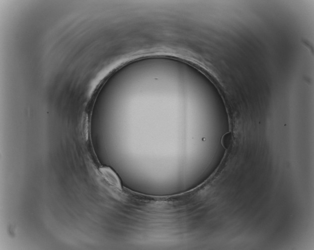 X0000103421510200809191625