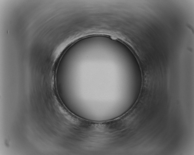 X0000103421511200809191625