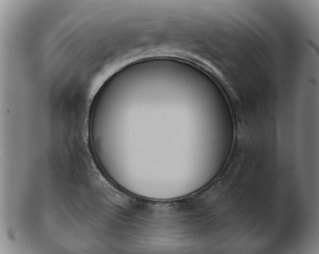 X0000103421512200809191625