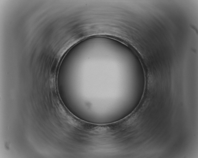 X0000103421513200809191625