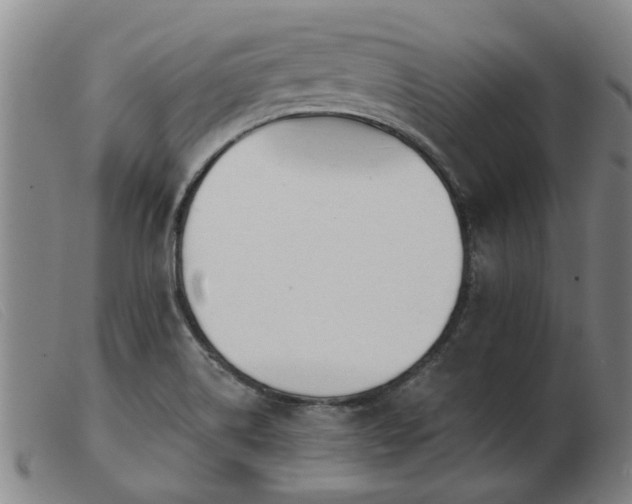 X0000103421514200809191625