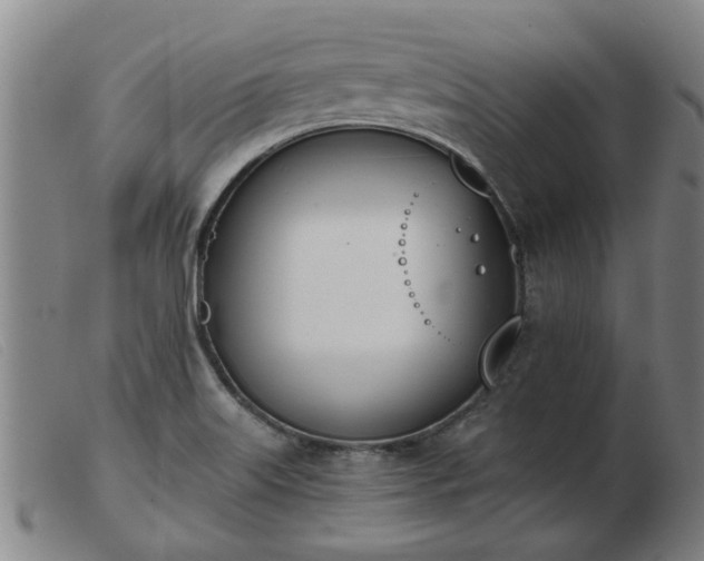 X0000103421515200809191625