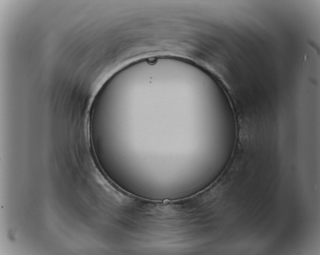 X0000103421516200809191625