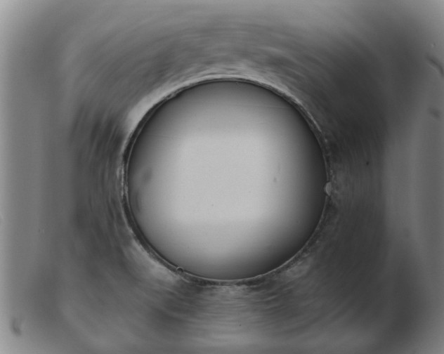 X0000103421519200809191625