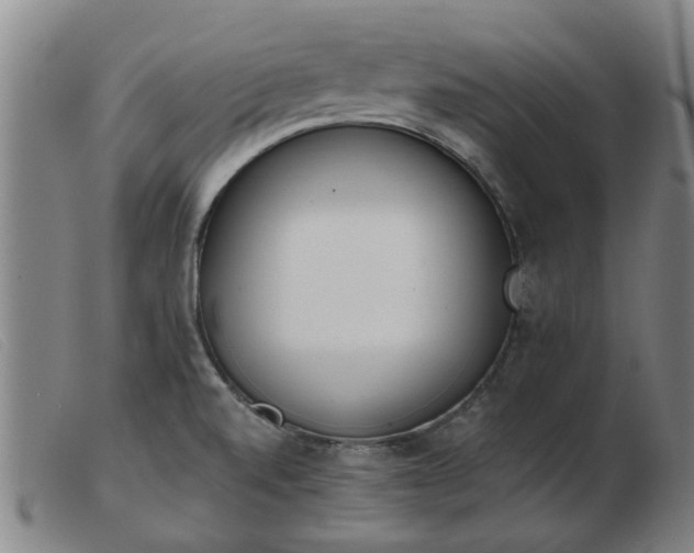 X0000103421520200809191625