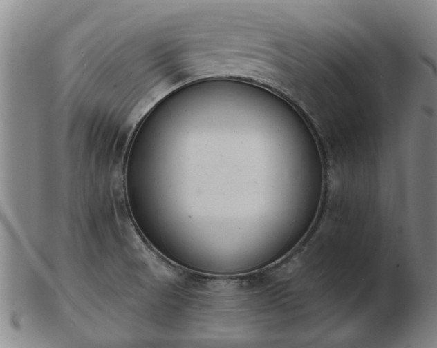 X0000103421521200809191625
