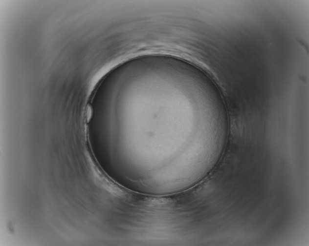 X0000103421522200809191625