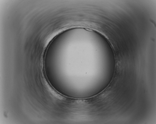 X0000103421523200809191625