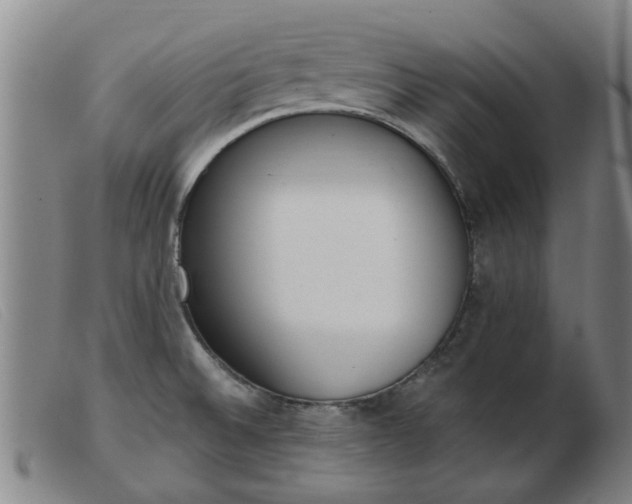 X0000103421524200809191625