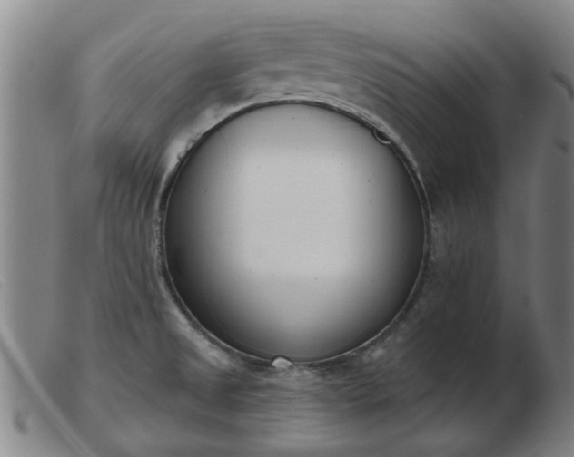 X0000103421525200809191625