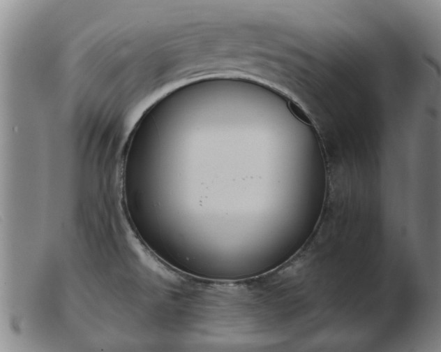 X0000103421526200809191625