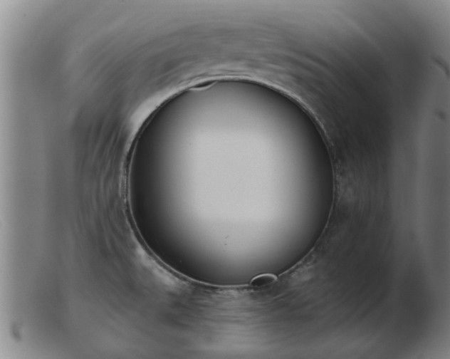 X0000103421527200809191625