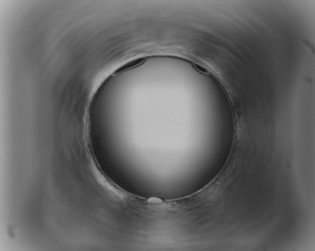X0000103421528200809191625