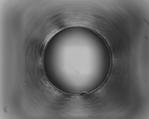 X0000103421529200809191625
