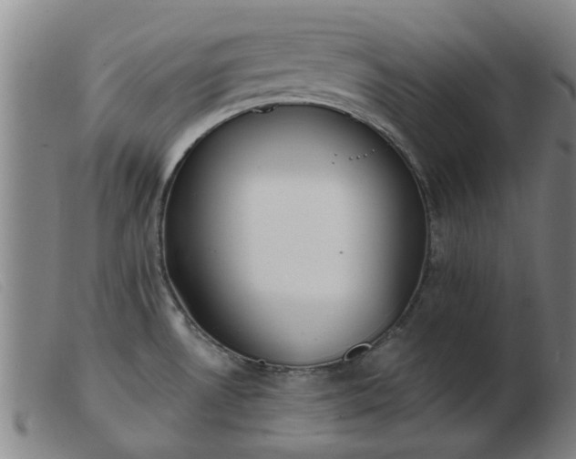 X0000103421530200809191625