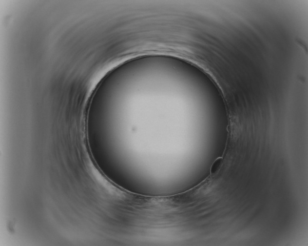 X0000103421531200809191625