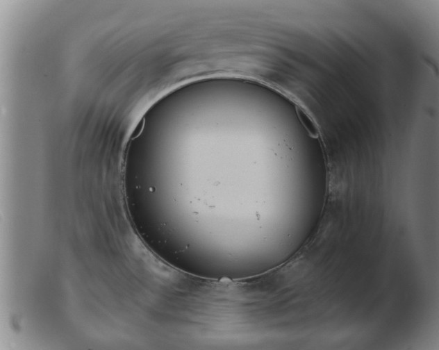 X0000103421532200809191625