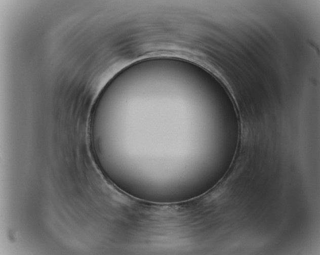 X0000103421533200809191625