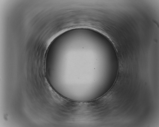 X0000103421534200809191625