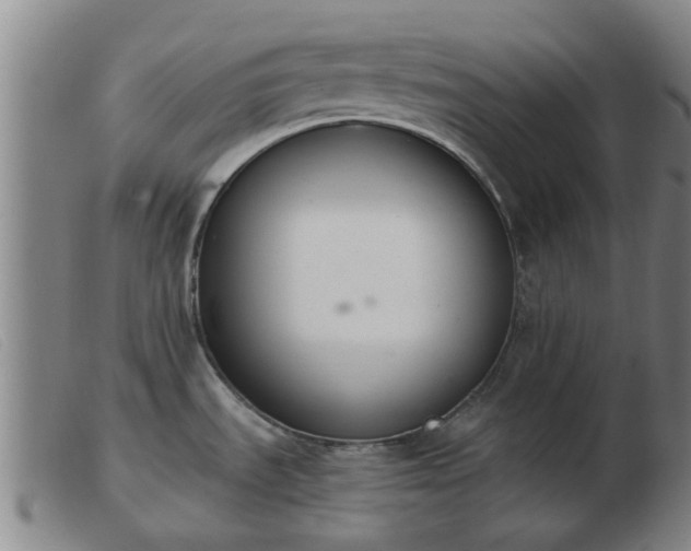 X0000103421535200809191625