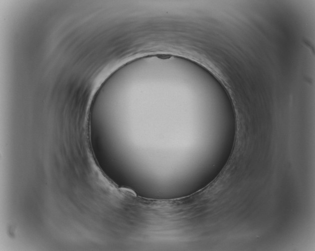 X0000103421536200809191625