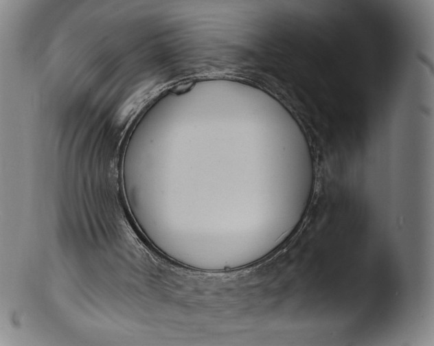 X0000103420002200809261718
