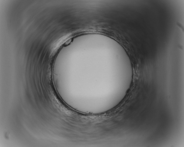 X0000103420005200809261718