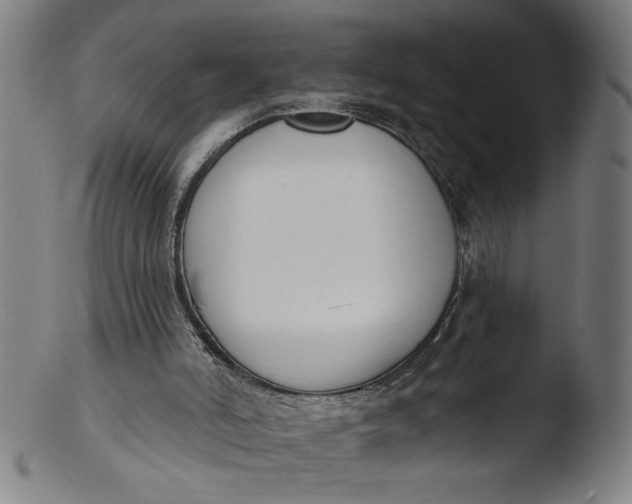 X0000103420006200809261718